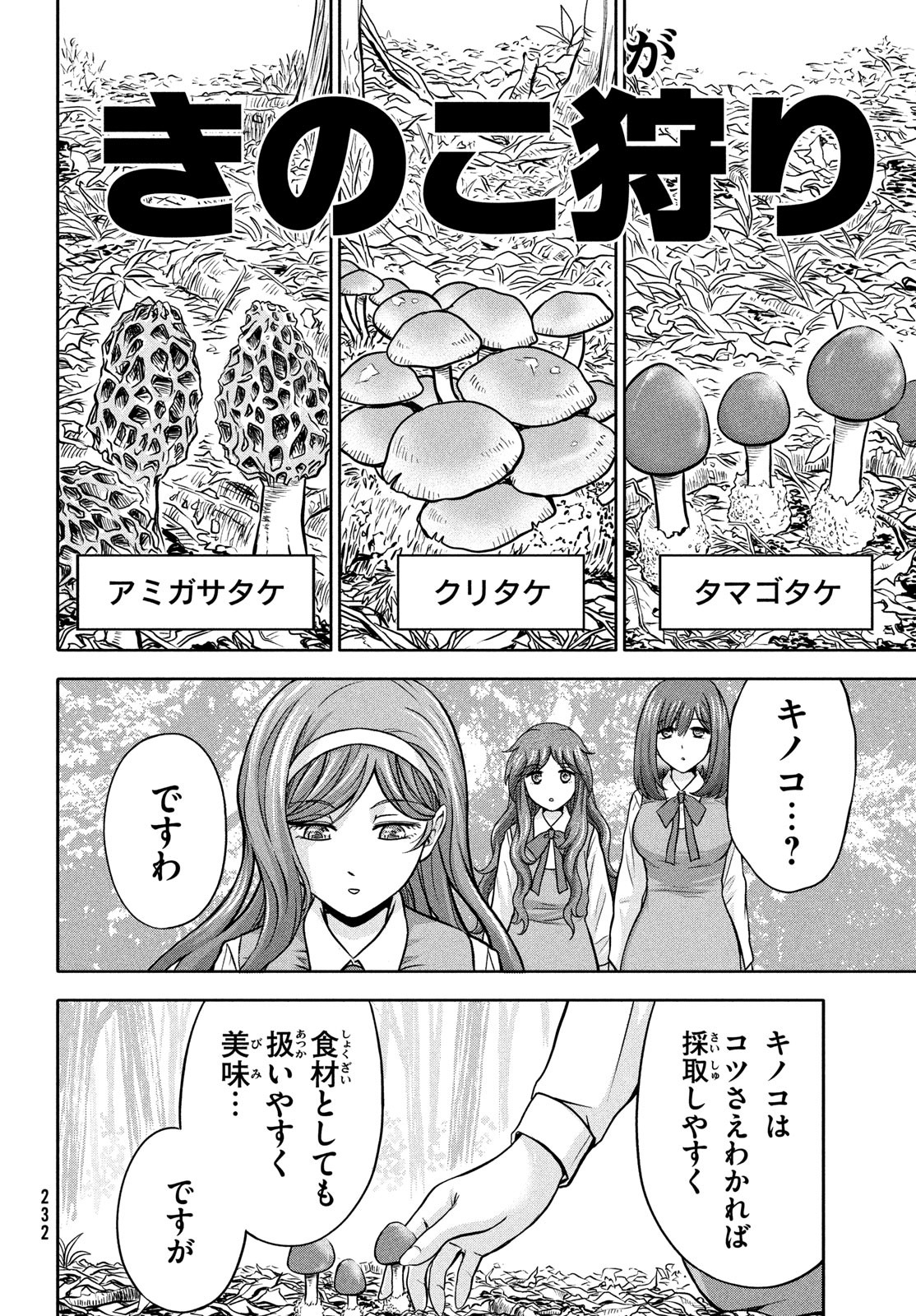 あ！野生のお嬢様がとびだしてきた!! 第11話 - Page 4