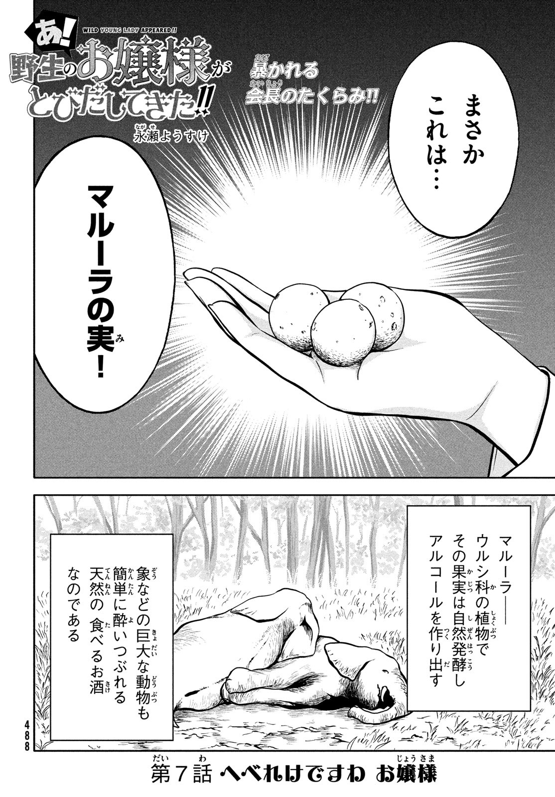 あ！野生のお嬢様がとびだしてきた!! 第7話 - Page 2