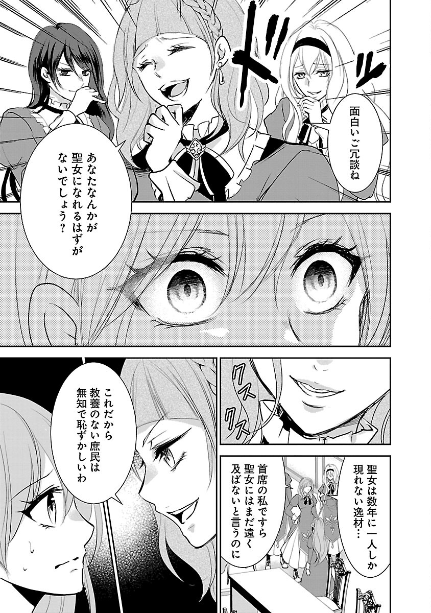 憧れの聖女になりましたが、全てを奪われたので復讐します。 第2話 - Page 9