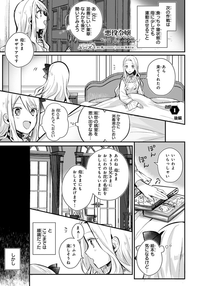 悪役令嬢になんかなりません.私は「普通」の公爵令嬢で 第1話 - Page 24