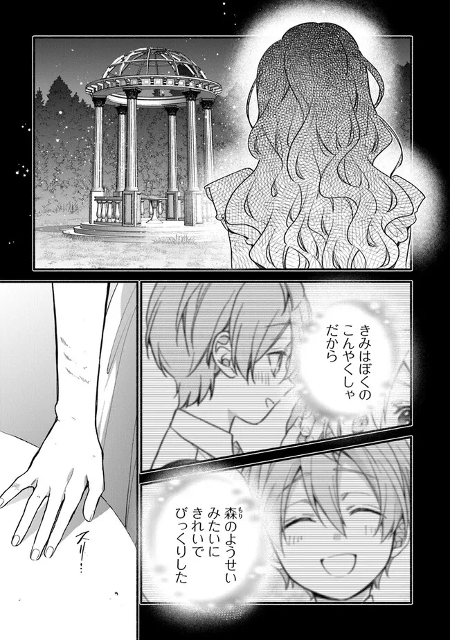 Akuyaku Reijou ni Tensei Shippaishite Kachi Heroine ni Natte Shimaimashita I Failed to Reincarnate as the Villainess and Ended Up as the Victorious Heroine Instead I Failed to Reincarnate as the Villainess and Ended Up as the Victorious Heroine Instead Le 第24.2話 - Page 3