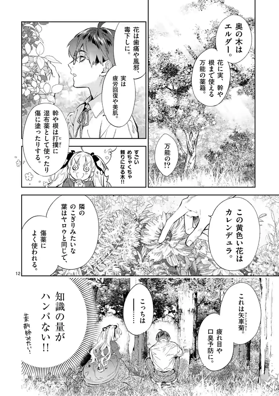 悪役令嬢は夜告鳥をめざす 第11.1話 - Page 12