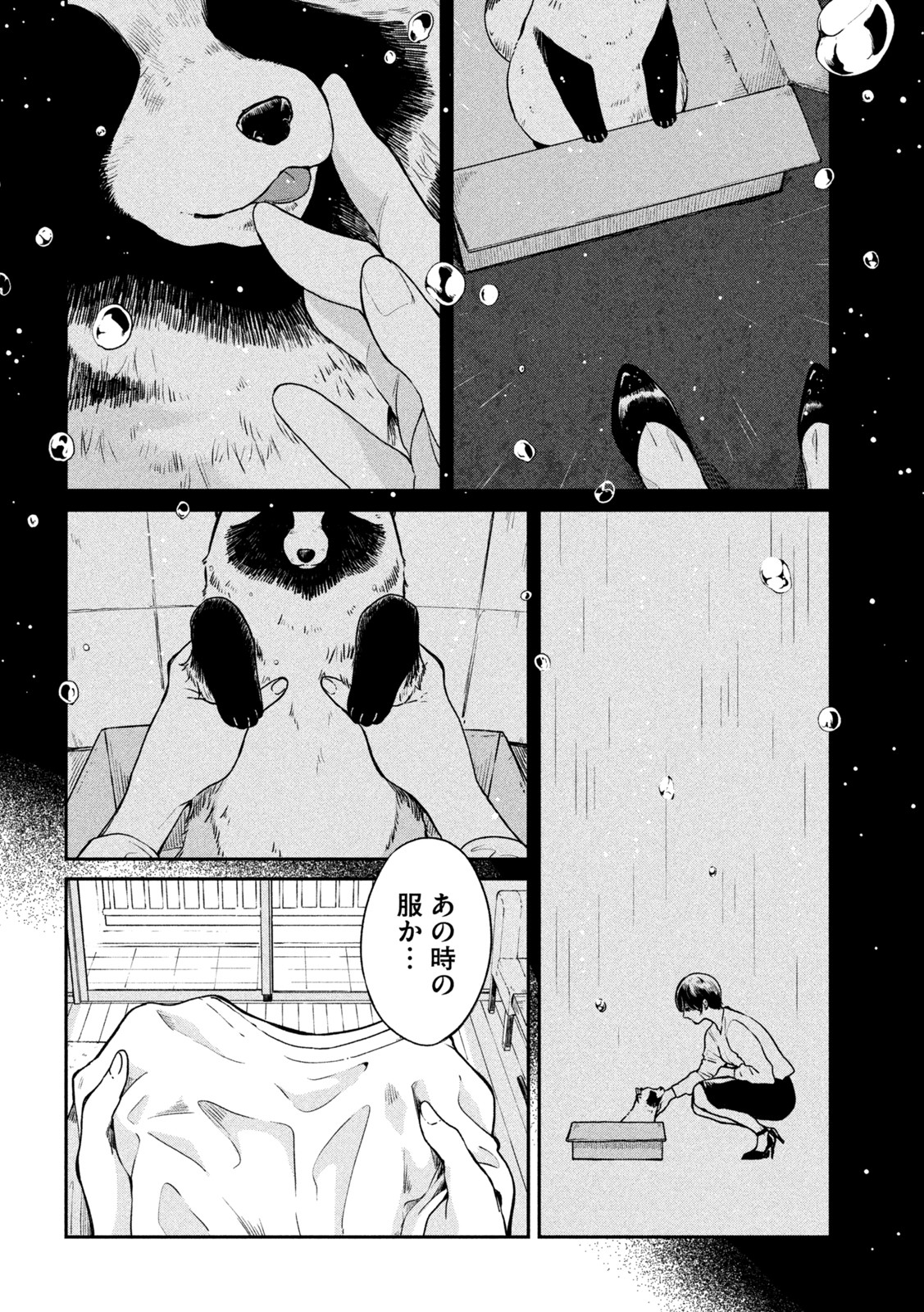 雨と君と 第67.5話 - Page 12