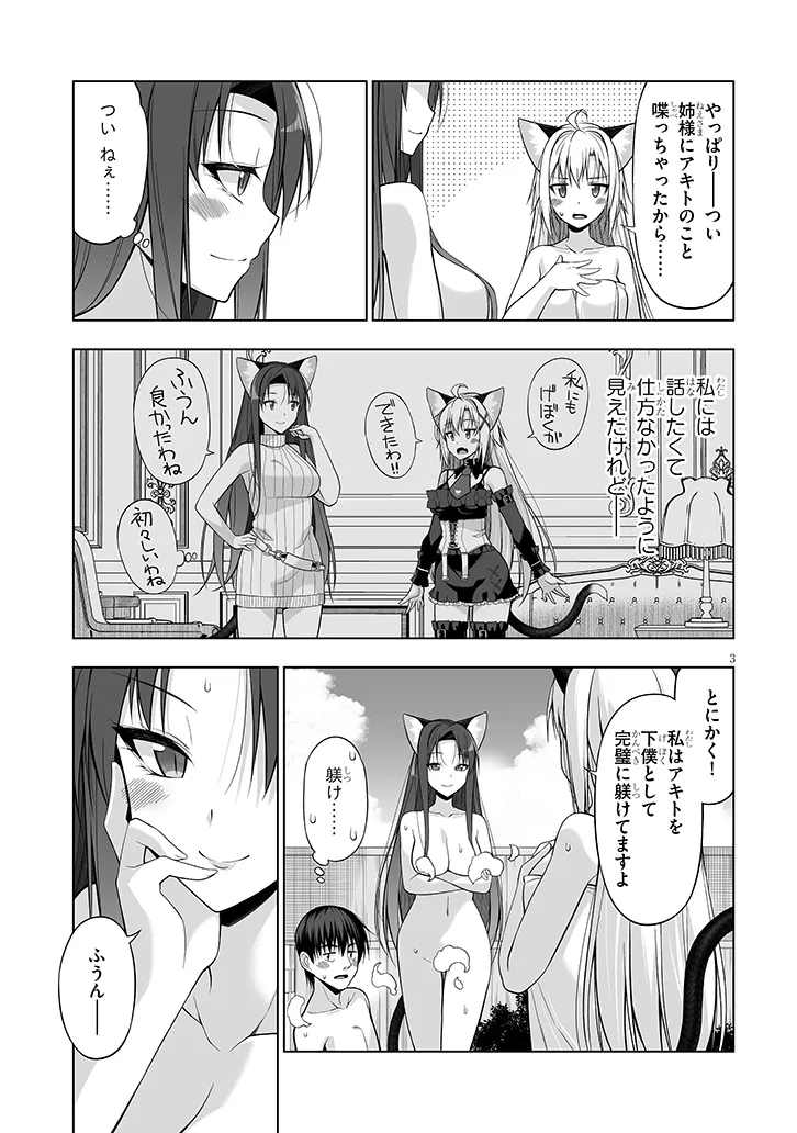 貴方は猫（わたし）の下僕です ～ねことげぼくのヒミツのカンケイ～ 第8.1話 - Page 3