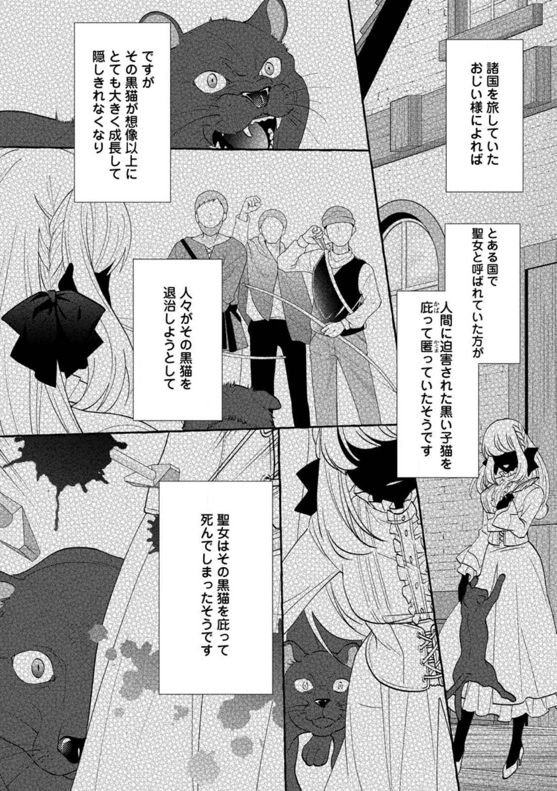 姉の身代わりで婚約したら何故か辺境の聖女と呼ばれるようになりました 第10.1話 - Page 11