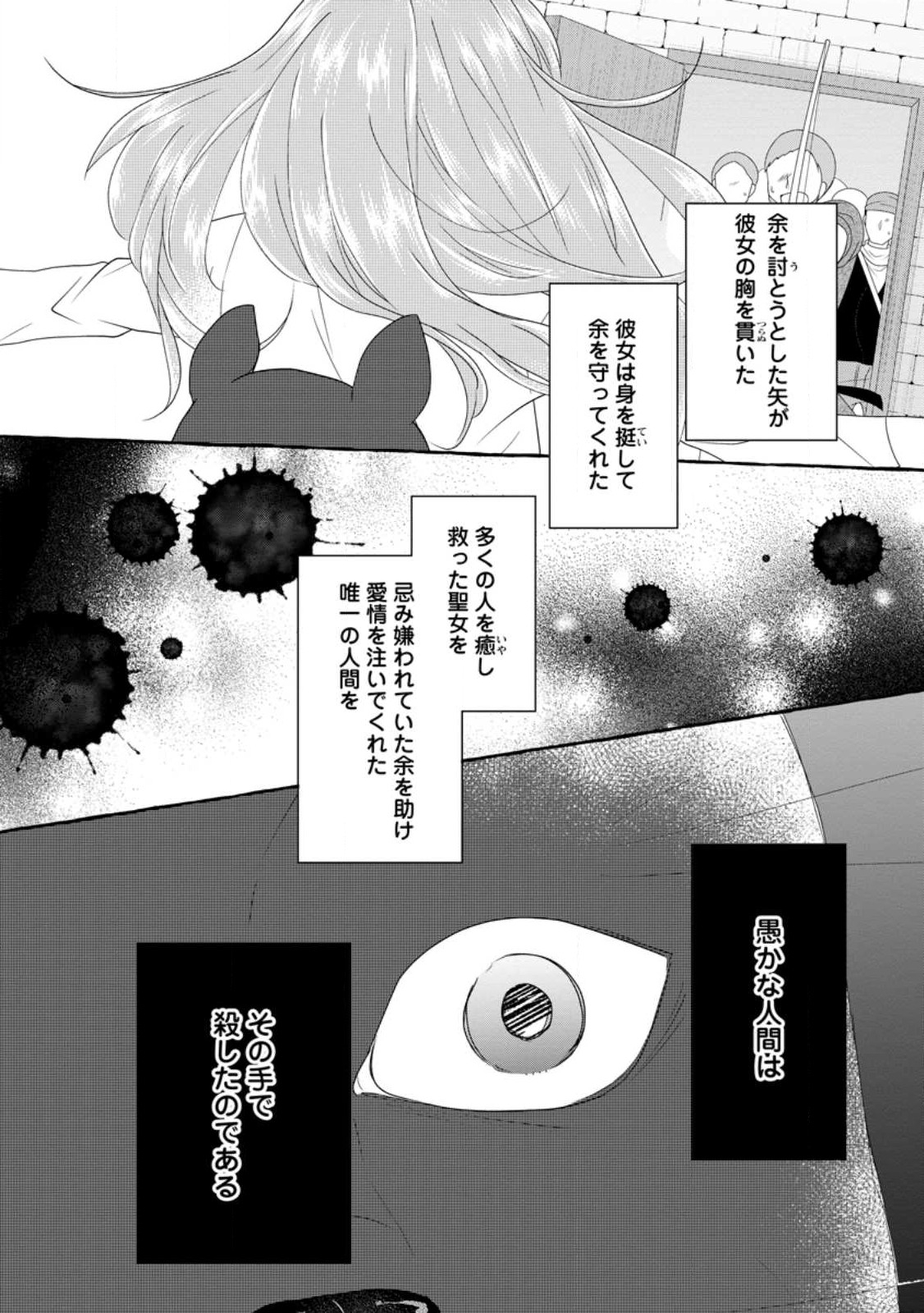 姉の身代わりで婚約したら何故か辺境の聖女と呼ばれるようになりました 第15.2話 - Page 5