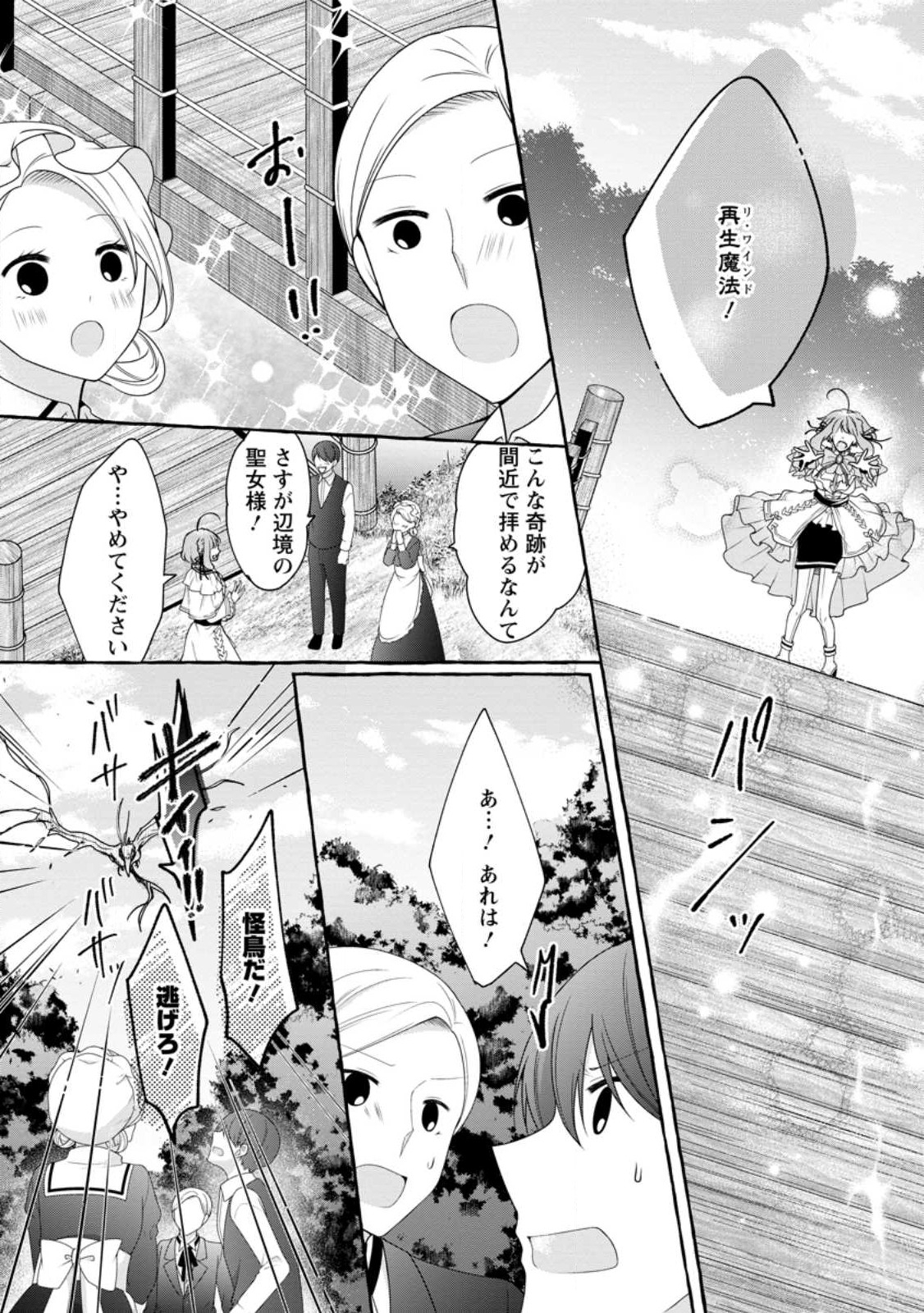 姉の身代わりで婚約したら何故か辺境の聖女と呼ばれるようになりました 第19.2話 - Page 5