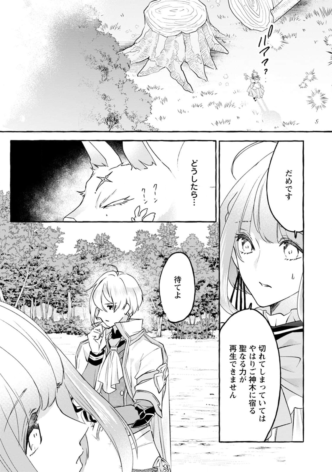 姉の身代わりで婚約したら何故か辺境の聖女と呼ばれるようになりました 第2話 - Page 22