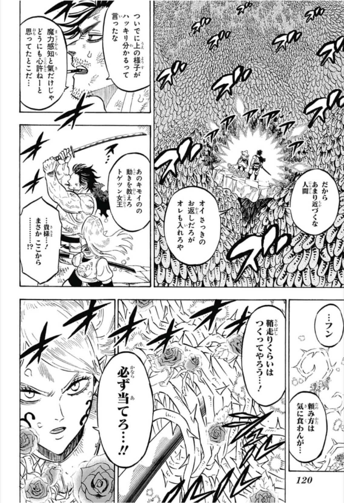 ブラッククローバー 第210話 - Page 14