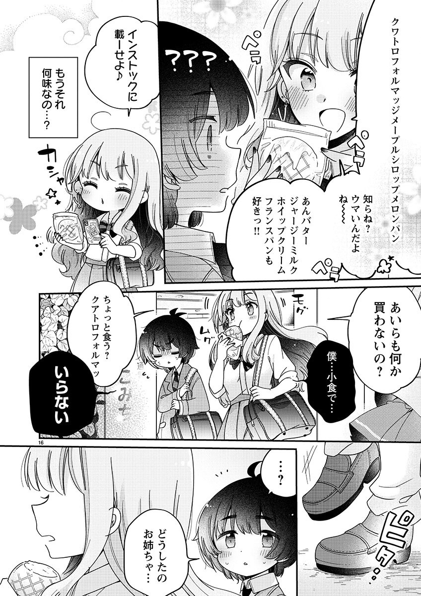 僕はお姉ちゃんのおもちゃ 第1話 - Page 16