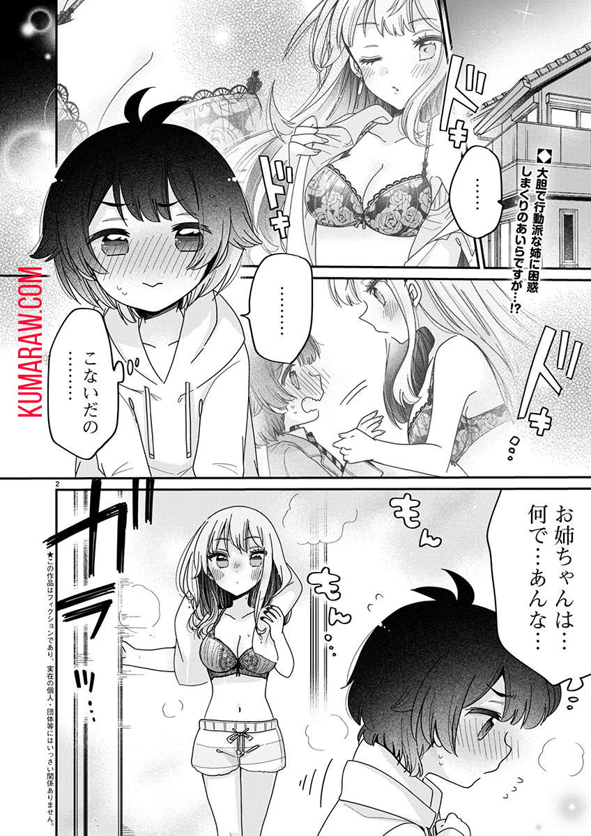 僕はお姉ちゃんのおもちゃ 第4.1話 - Page 2