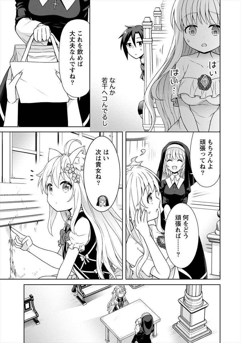 チート薬師のスローライフ異世界に作ろうドラッグストア 第28話 - Page 13