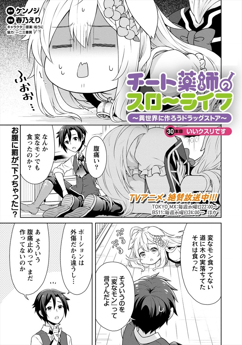 チート薬師のスローライフ異世界に作ろうドラッグストア 第30話 - Page 2