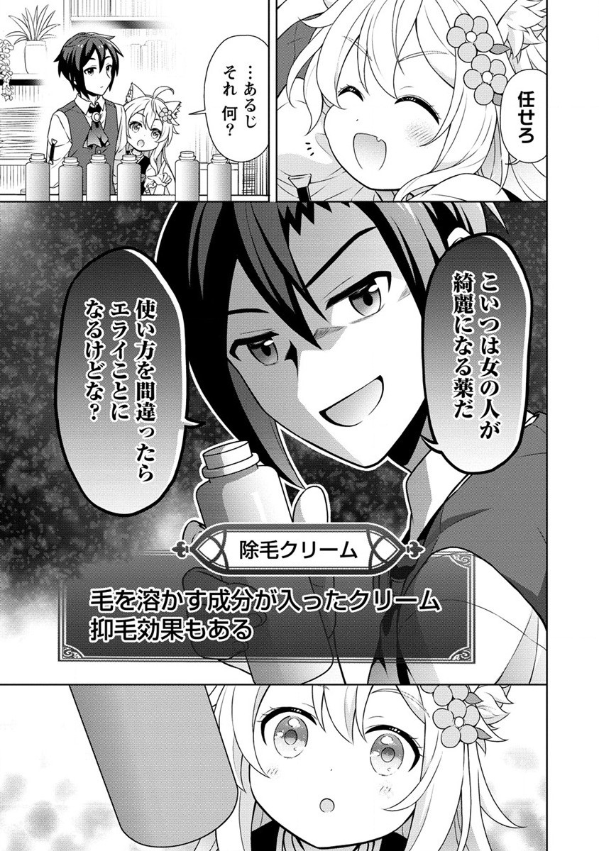 チート薬師のスローライフ異世界に作ろうドラッグストア 第56.1話 - Page 9