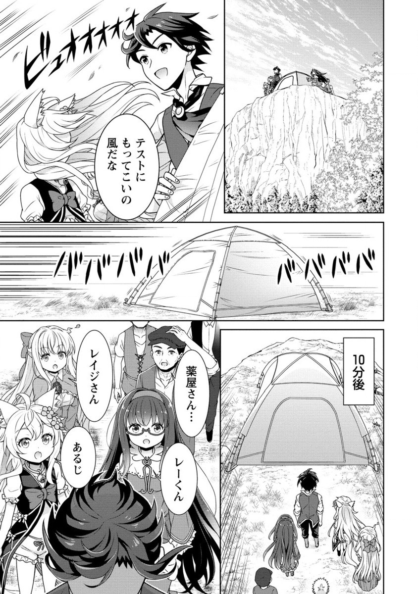 チート薬師のスローライフ異世界に作ろうドラッグストア 第60.2話 - Page 9