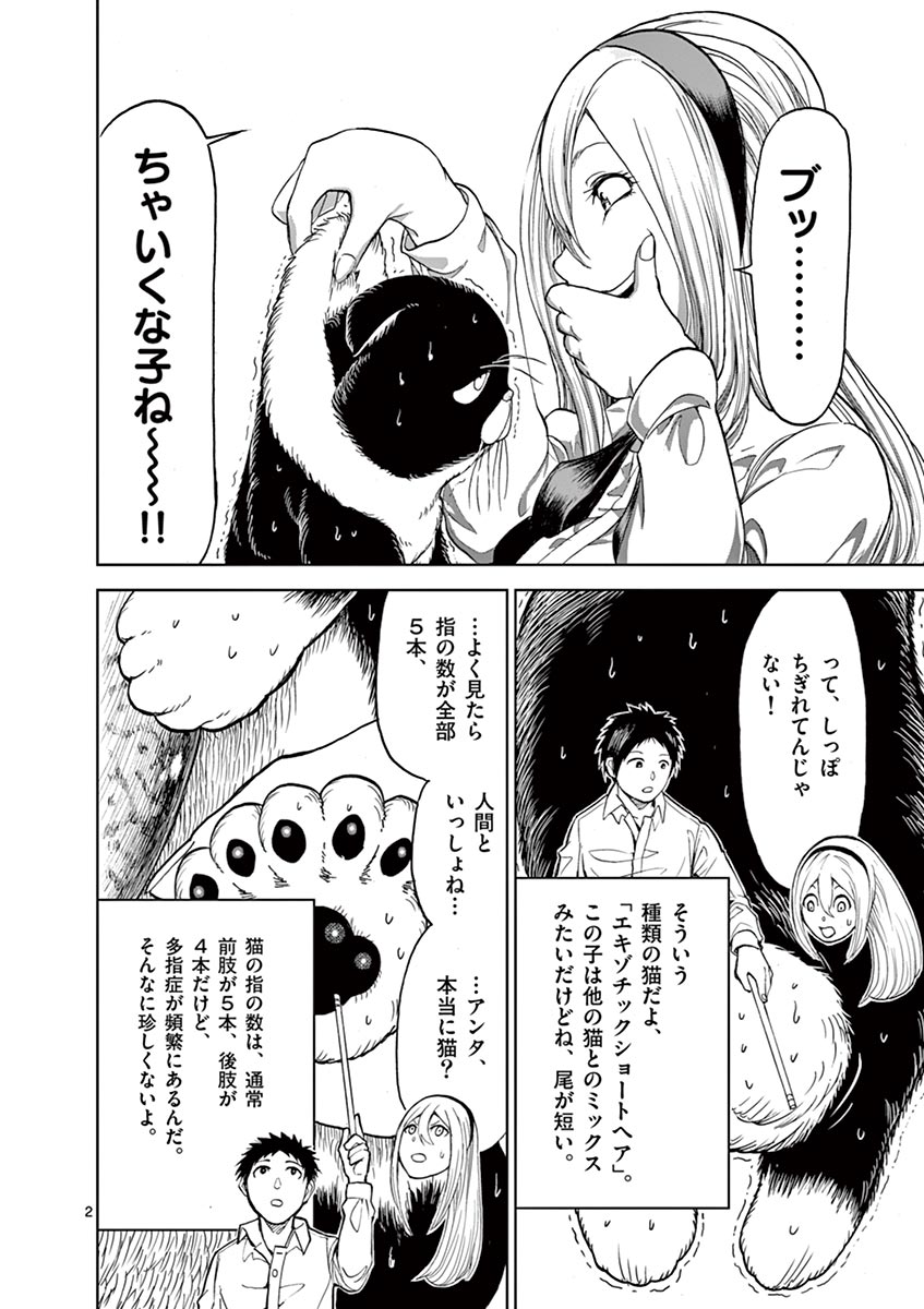 血と灰の女王 第9話 - Page 20