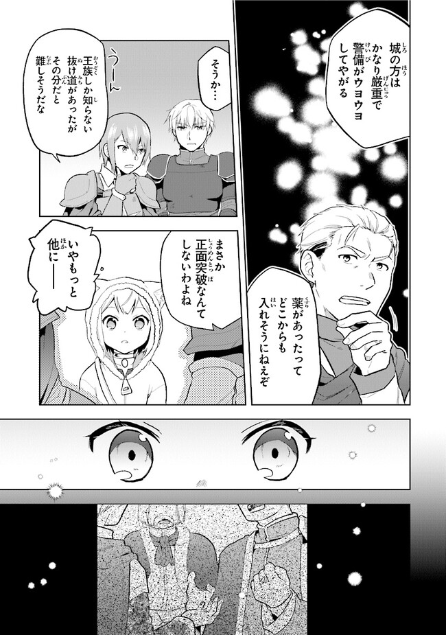 ちびっこ賢者、Lv.1から異世界でがんばります！ 第30話 - Page 17