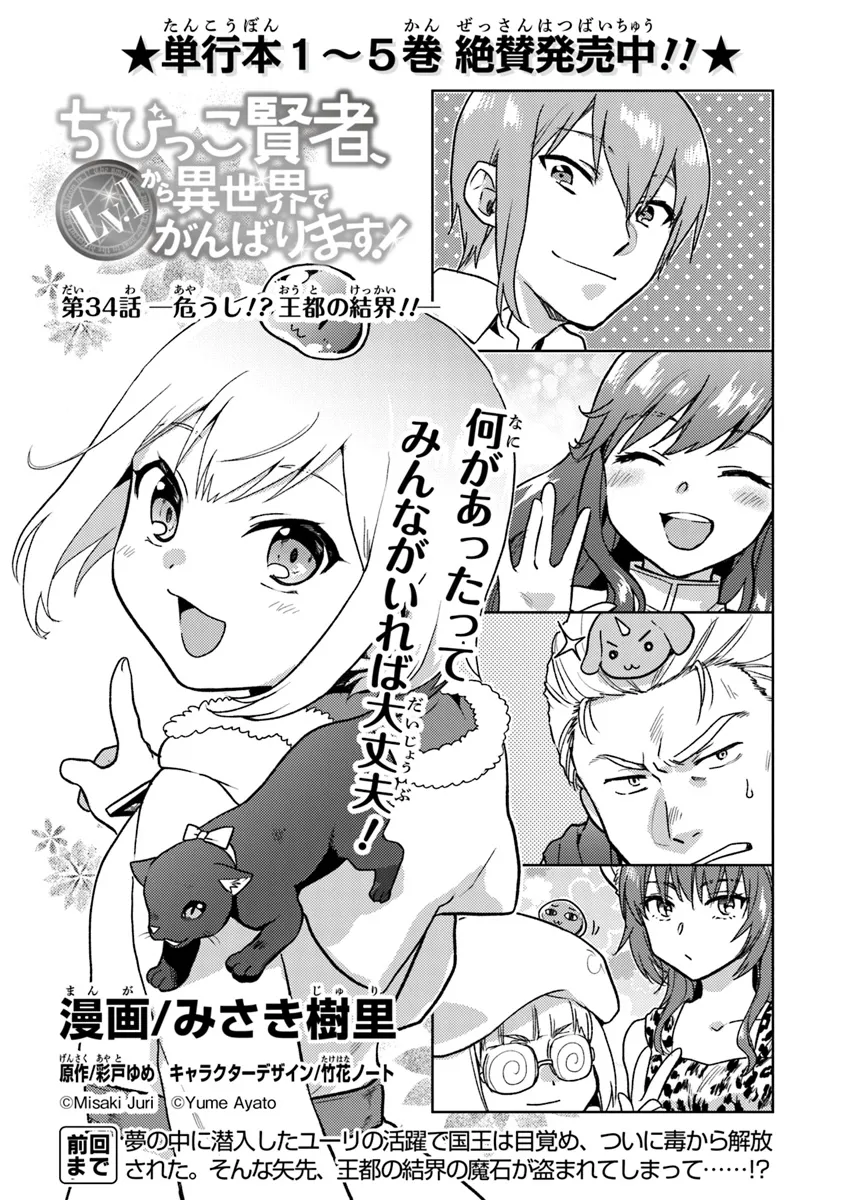 ちびっこ賢者、Lv.1から異世界でがんばります！ 第34話 - Page 1