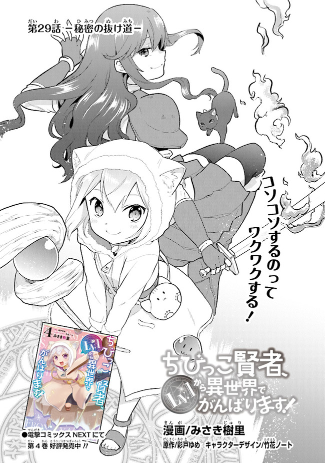 ちびっこ賢者、Lv.1から異世界でがんばります 第29話 - Page 2