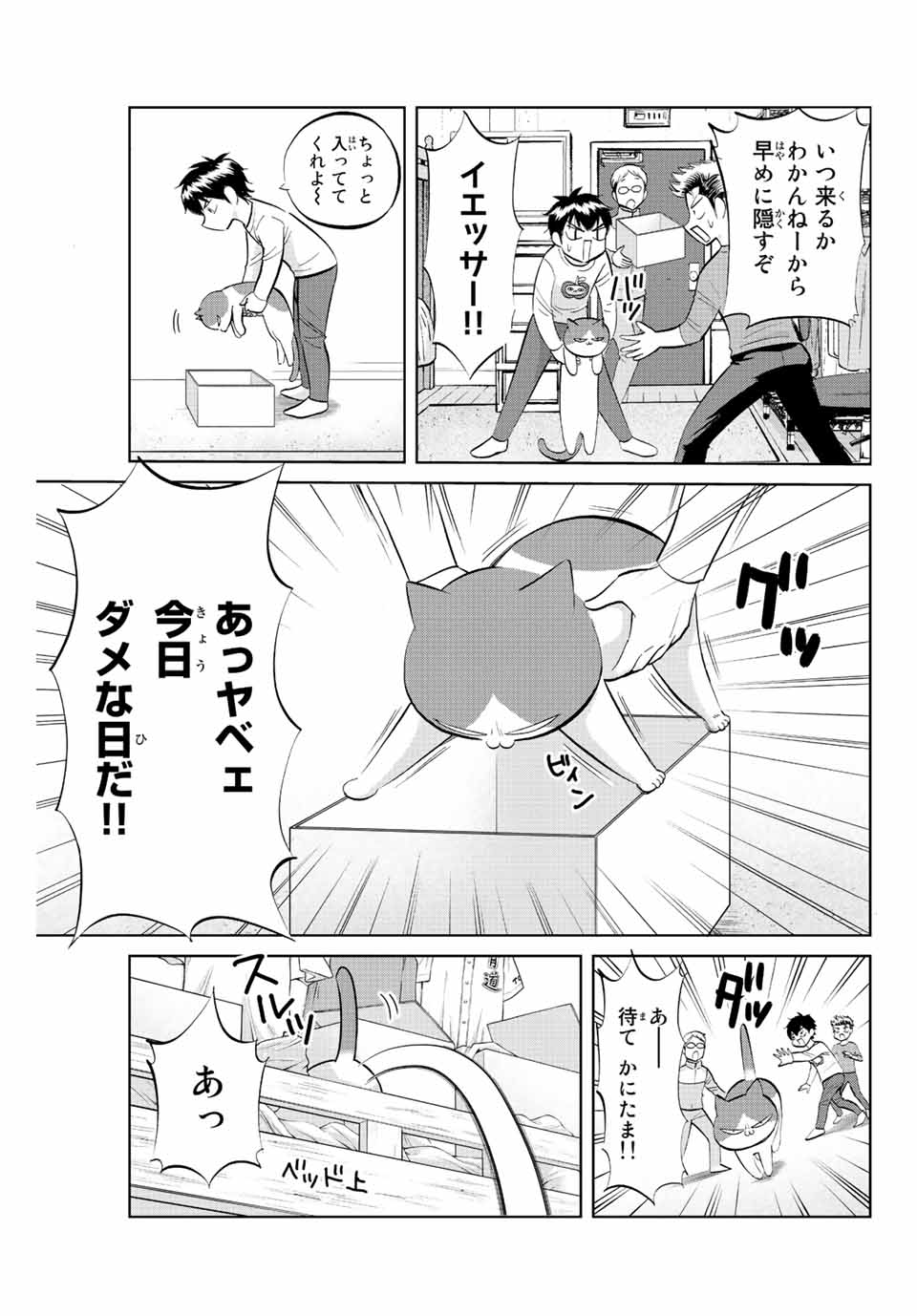 ダイヤのC!!青道高校野球部猫日誌 第10話 - Page 3