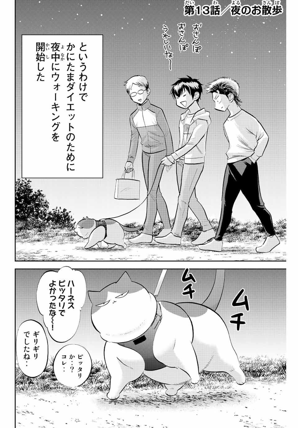 ダイヤのC!!青道高校野球部猫日誌 第13話 - Page 2