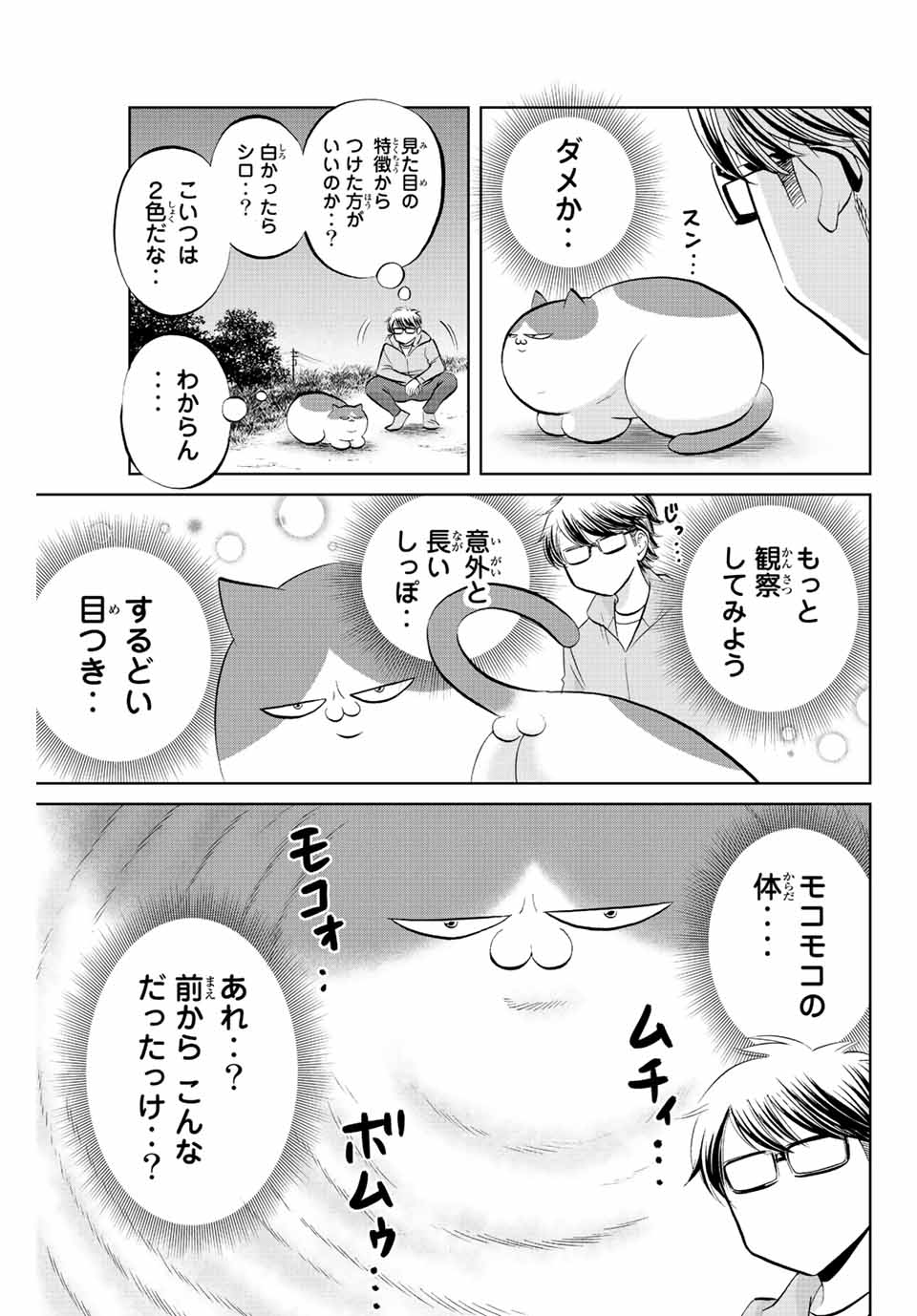 ダイヤのC!!青道高校野球部猫日誌 第14話 - Page 5