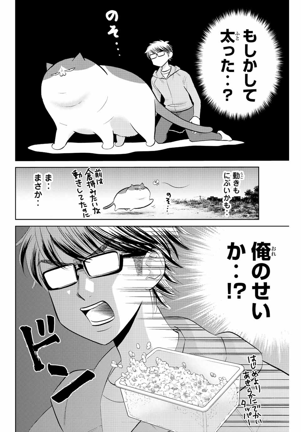 ダイヤのC!!青道高校野球部猫日誌 第14話 - Page 6