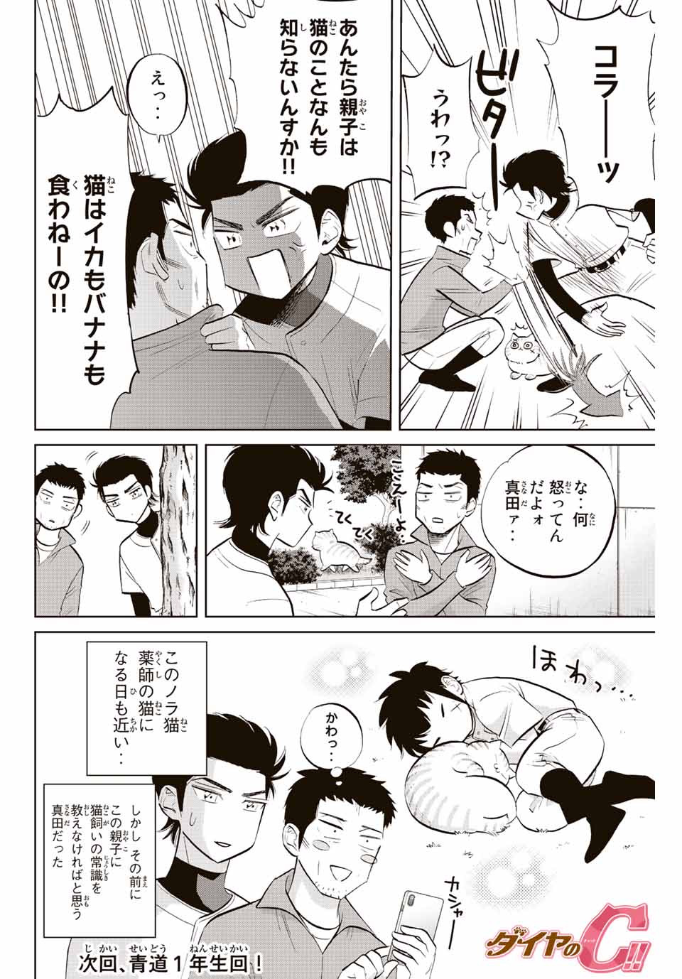 ダイヤのC!!青道高校野球部猫日誌 第15話 - Page 8