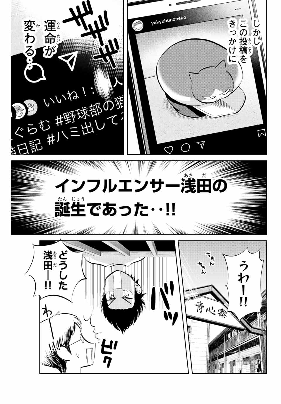 ダイヤのC!!青道高校野球部猫日誌 第18話 - Page 3