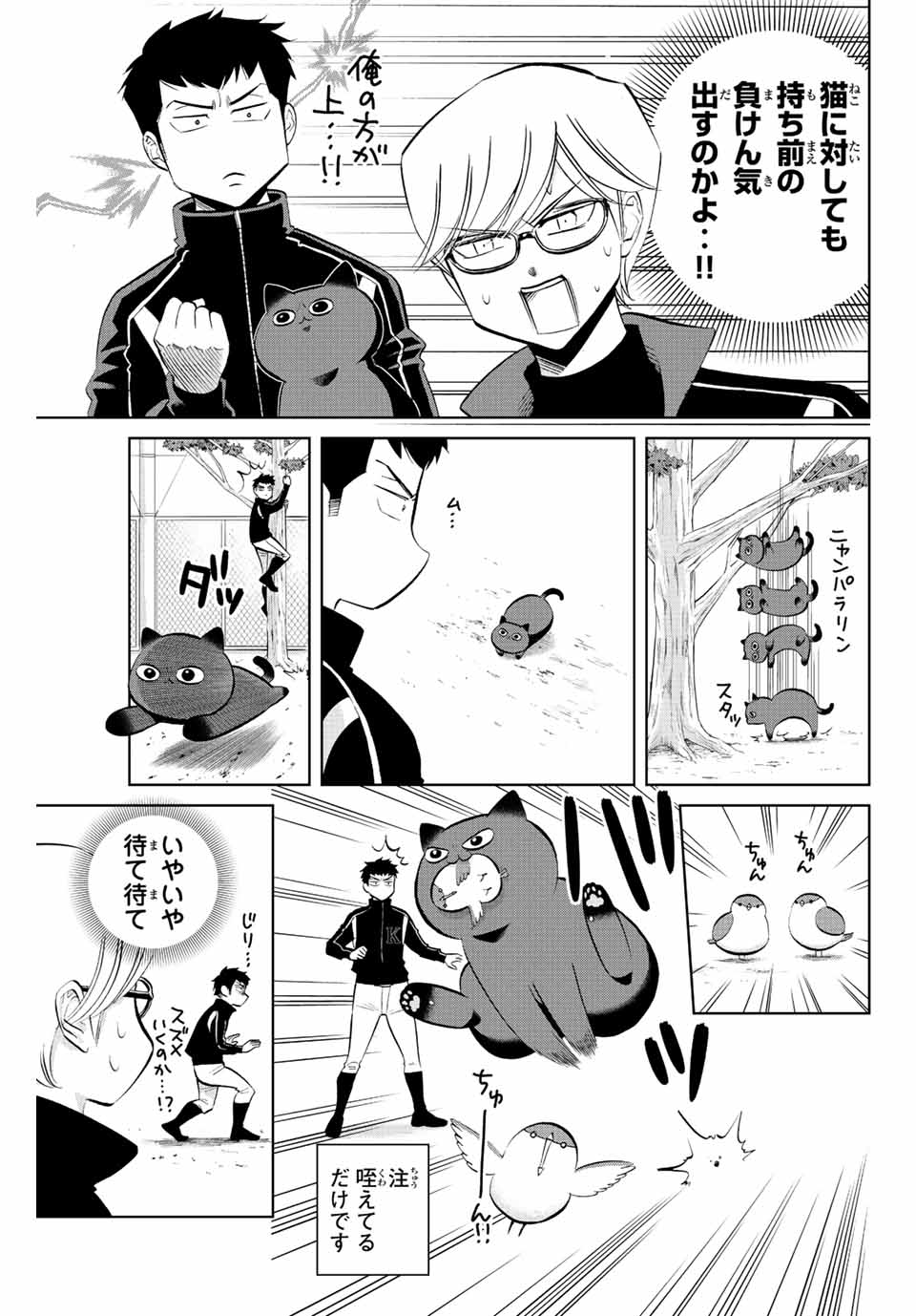 ダイヤのC!!青道高校野球部猫日誌 第23話 - Page 5