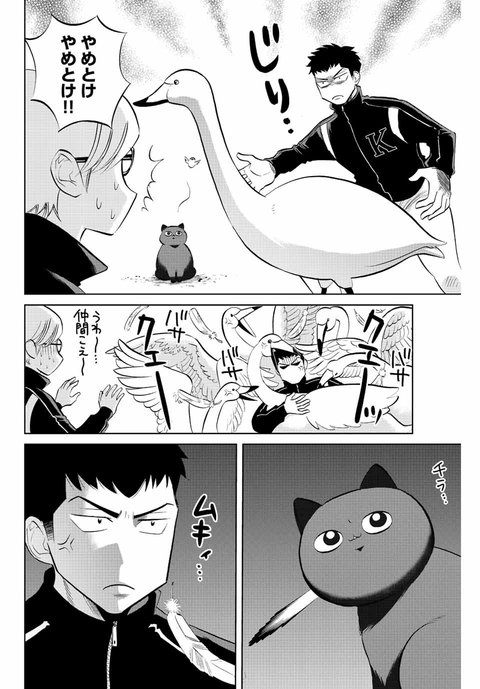 ダイヤのC!!青道高校野球部猫日誌 第23話 - Page 6