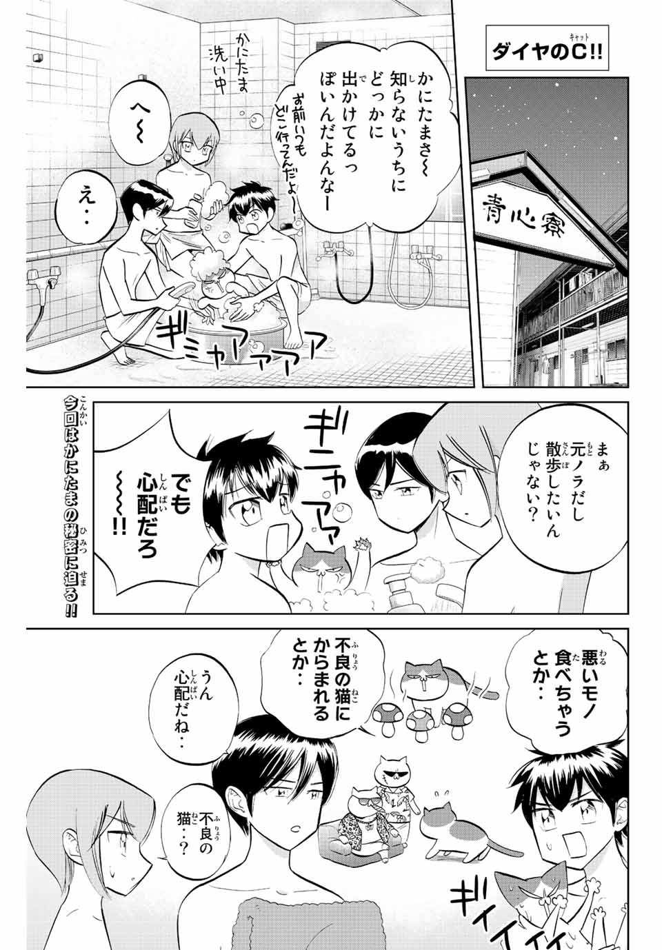 ダイヤのC!!青道高校野球部猫日誌 第24話 - Page 1