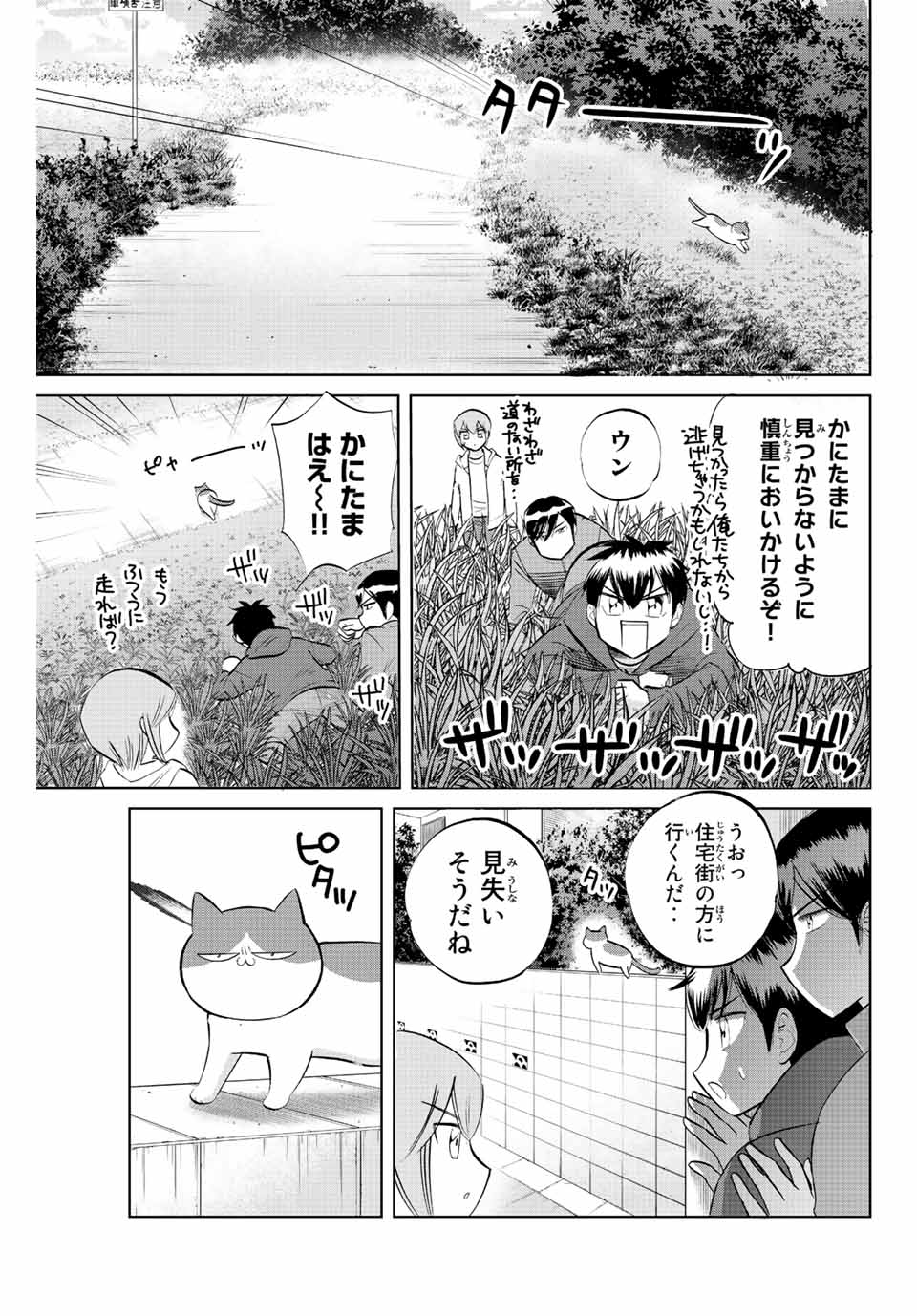 ダイヤのC!!青道高校野球部猫日誌 第24話 - Page 3
