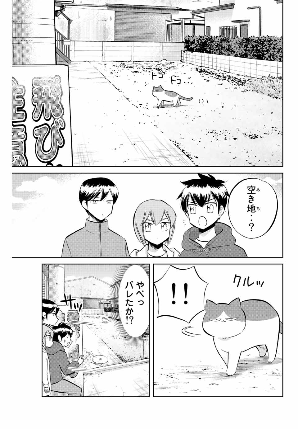 ダイヤのC!!青道高校野球部猫日誌 第24話 - Page 5