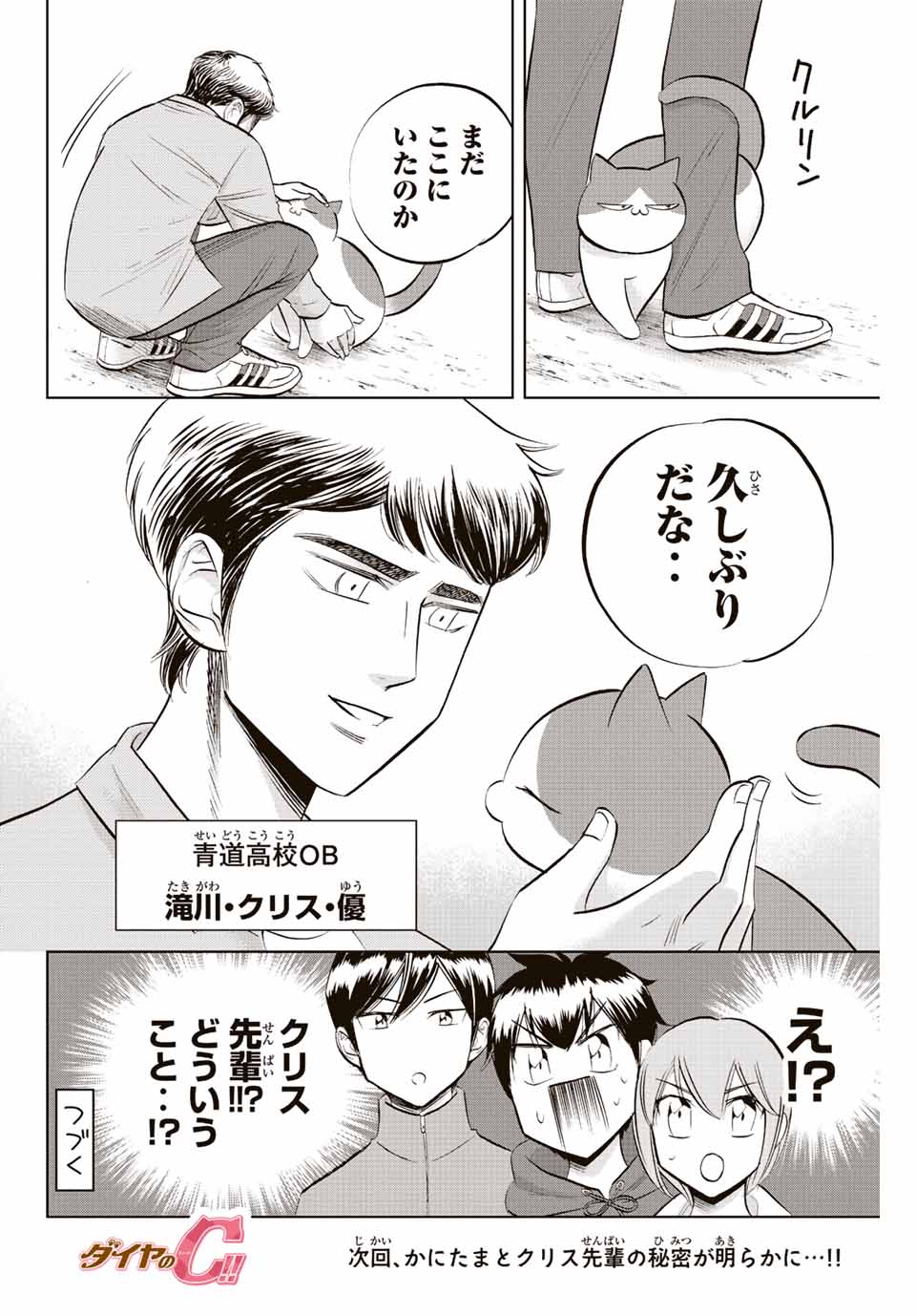 ダイヤのC!!青道高校野球部猫日誌 第24話 - Page 8