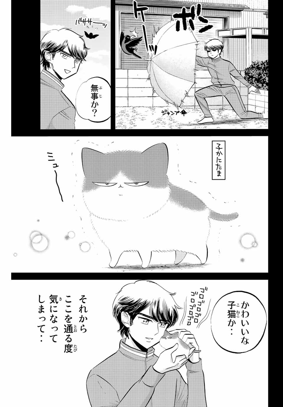 ダイヤのC!!青道高校野球部猫日誌 第25話 - Page 5