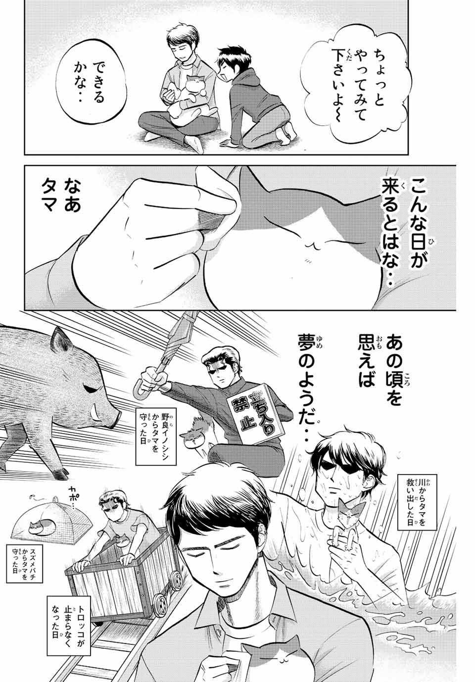 ダイヤのC!!青道高校野球部猫日誌 第26話 - Page 6