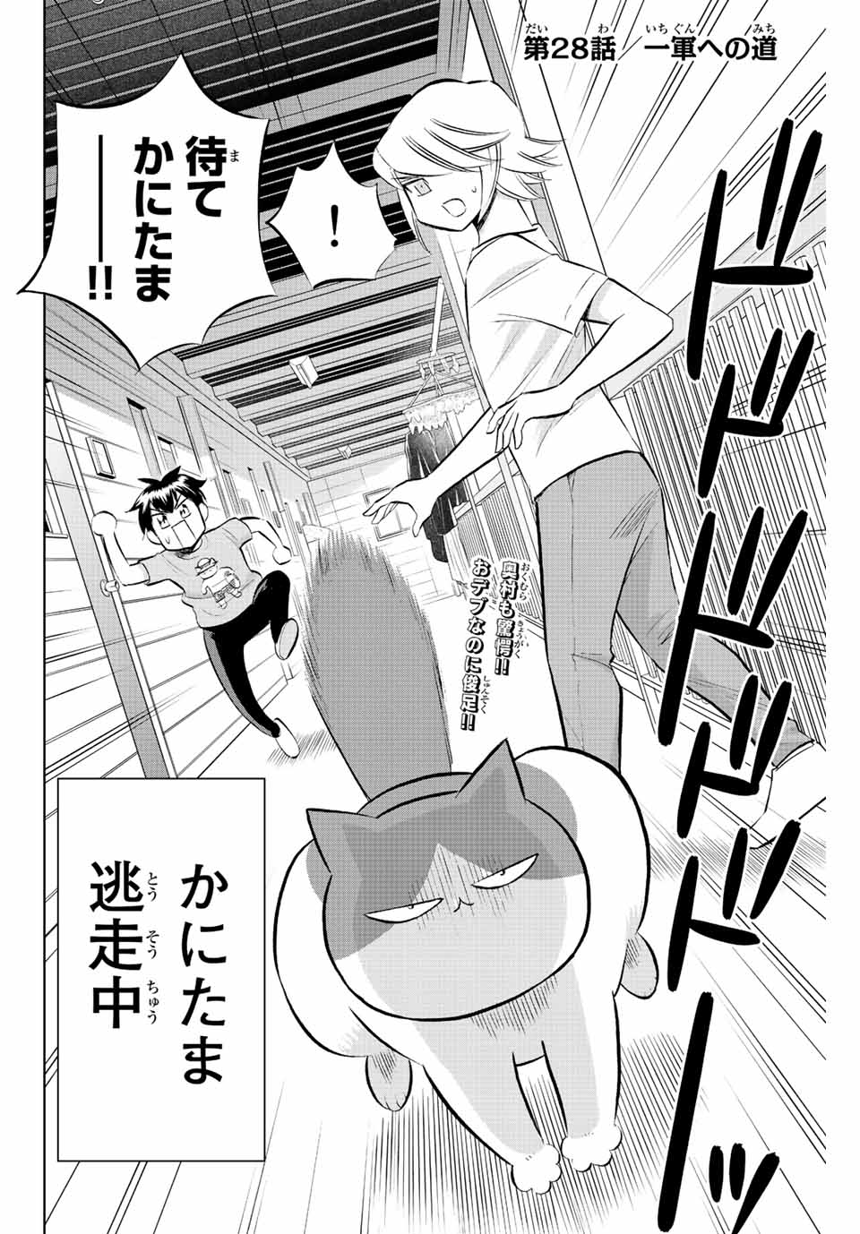 ダイヤのC!!青道高校野球部猫日誌 第28話 - Page 2
