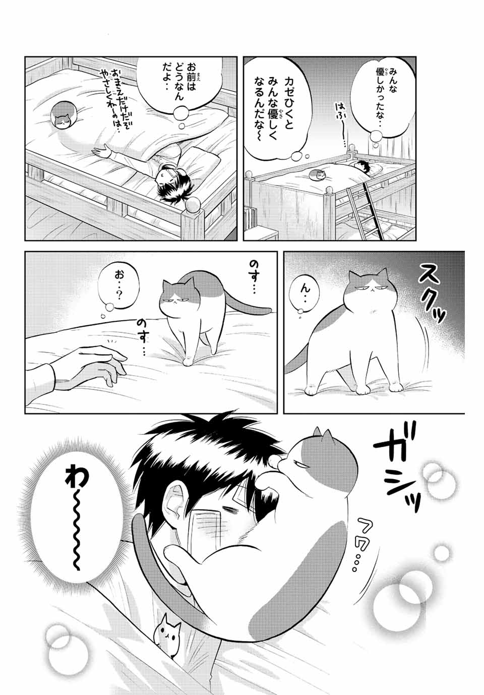 ダイヤのC!!青道高校野球部猫日誌 第29話 - Page 6
