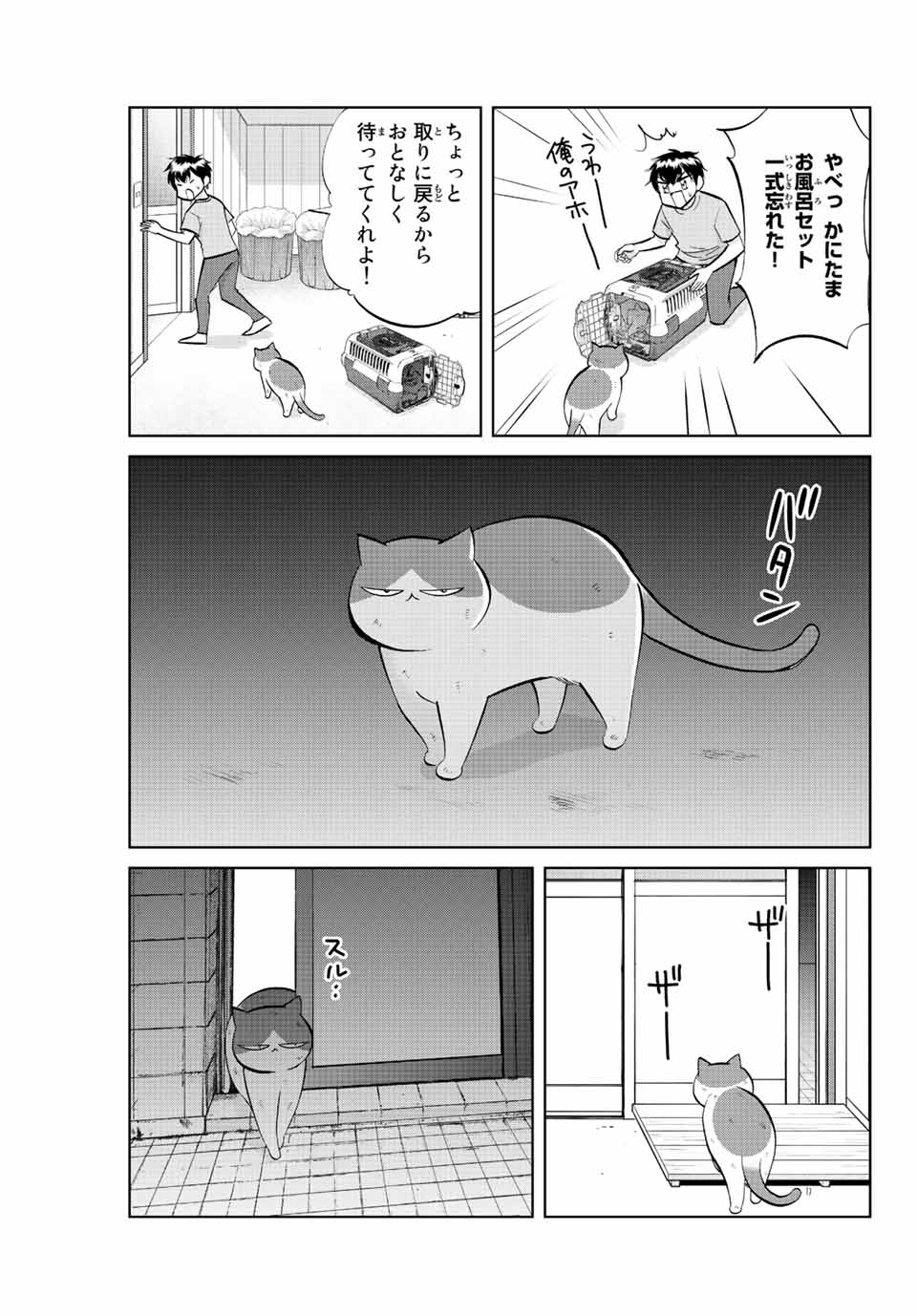 ダイヤのC!!青道高校野球部猫日誌 第30話 - Page 3