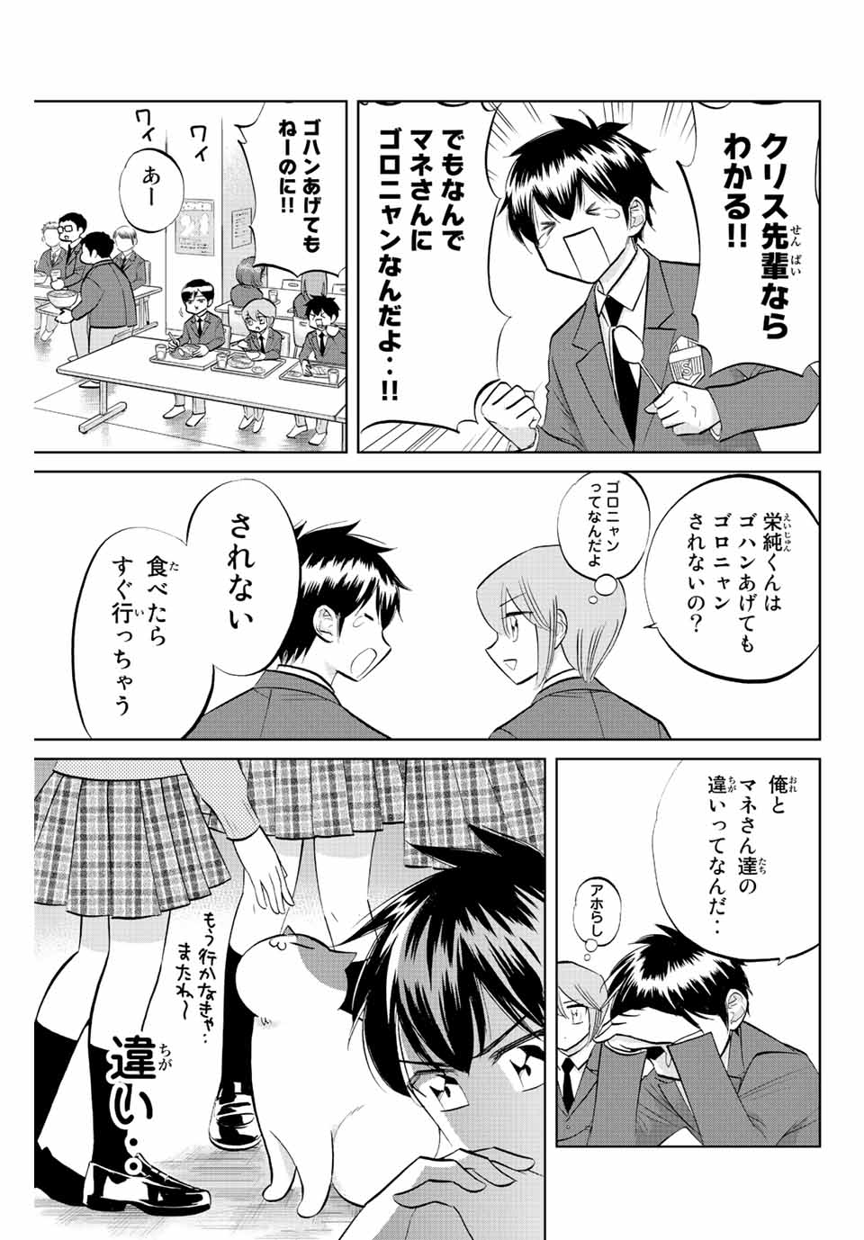 ダイヤのC!!青道高校野球部猫日誌 第31話 - Page 3