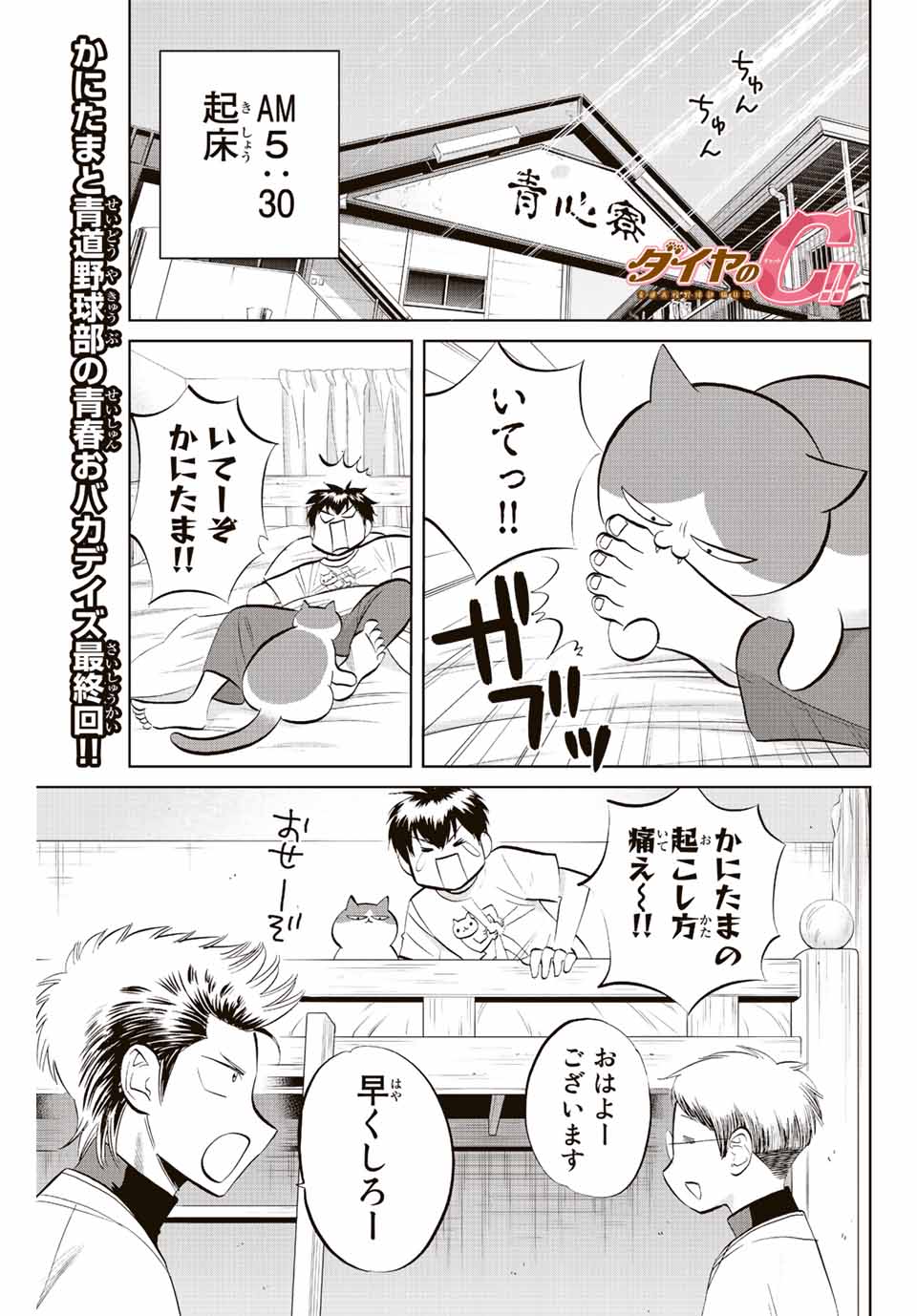 ダイヤのC!!青道高校野球部猫日誌 第39話 - Page 1