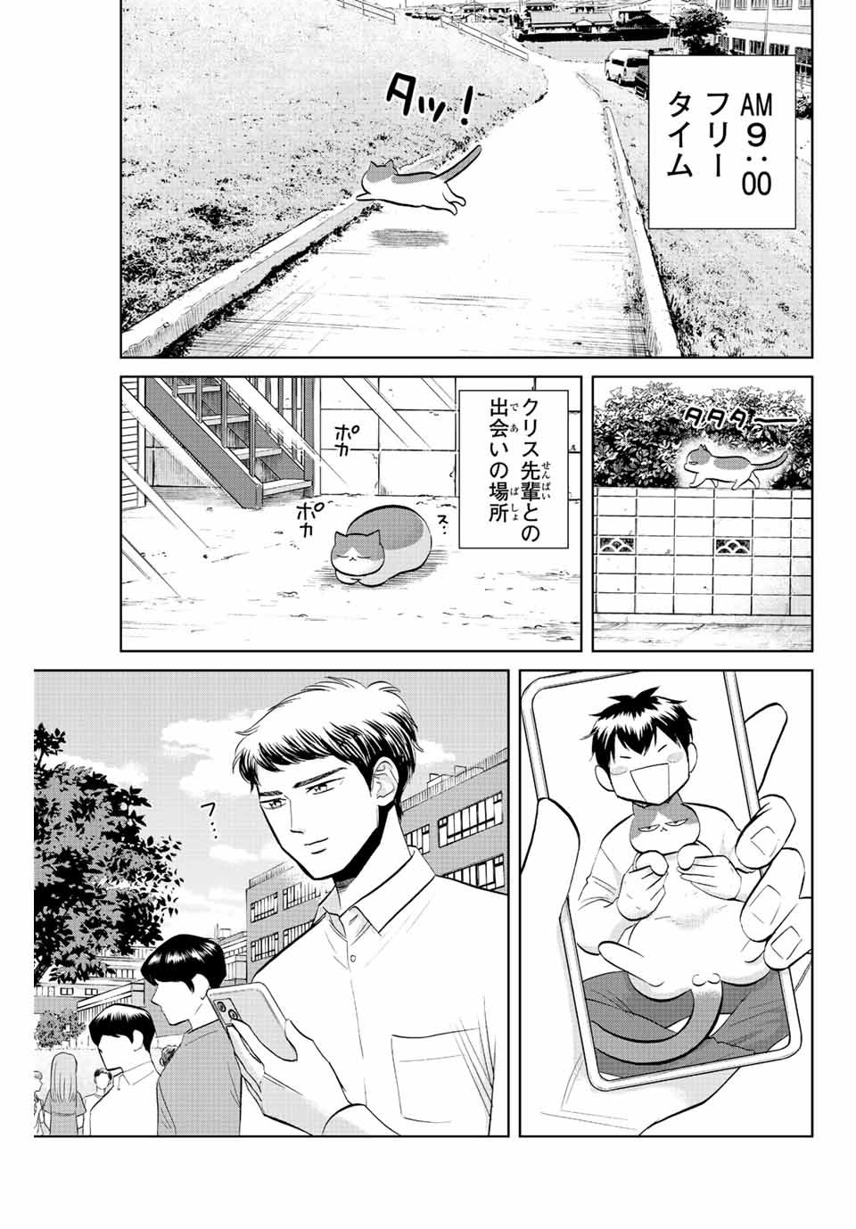 ダイヤのC!!青道高校野球部猫日誌 第39話 - Page 5