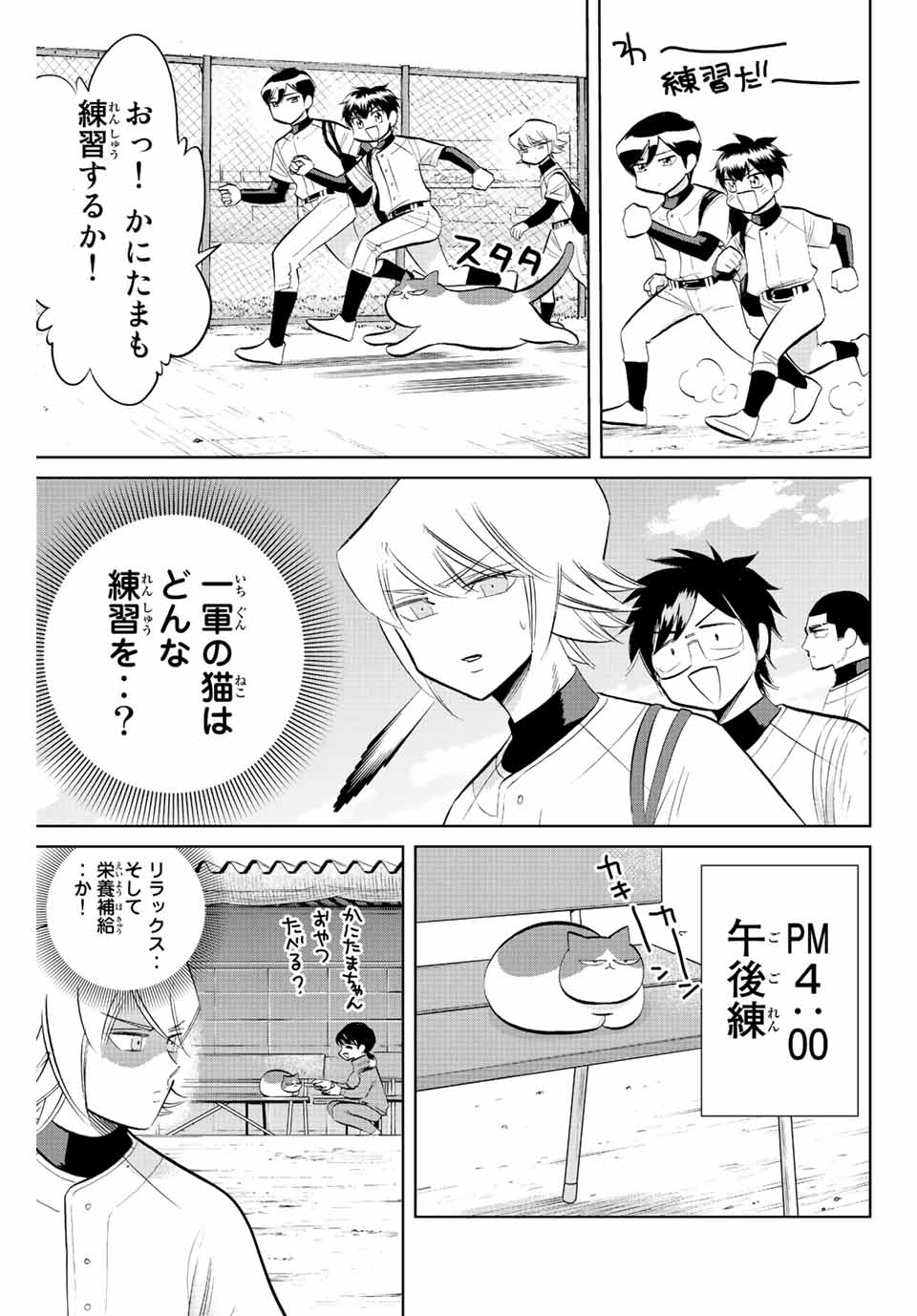 ダイヤのC!!青道高校野球部猫日誌 第39話 - Page 7