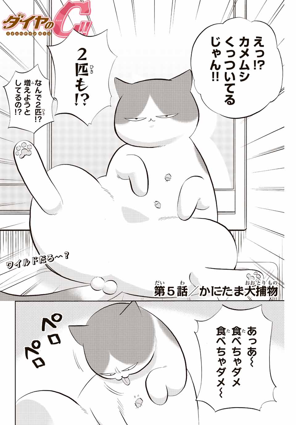 ダイヤのC!!青道高校野球部猫日誌 第5話 - Page 2