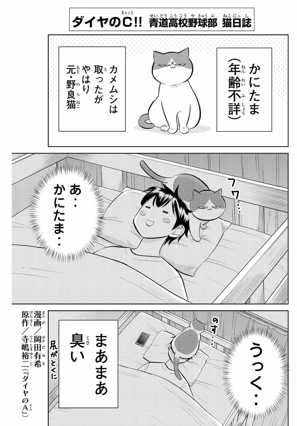 ダイヤのC!!青道高校野球部猫日誌 第6話 - Page 1