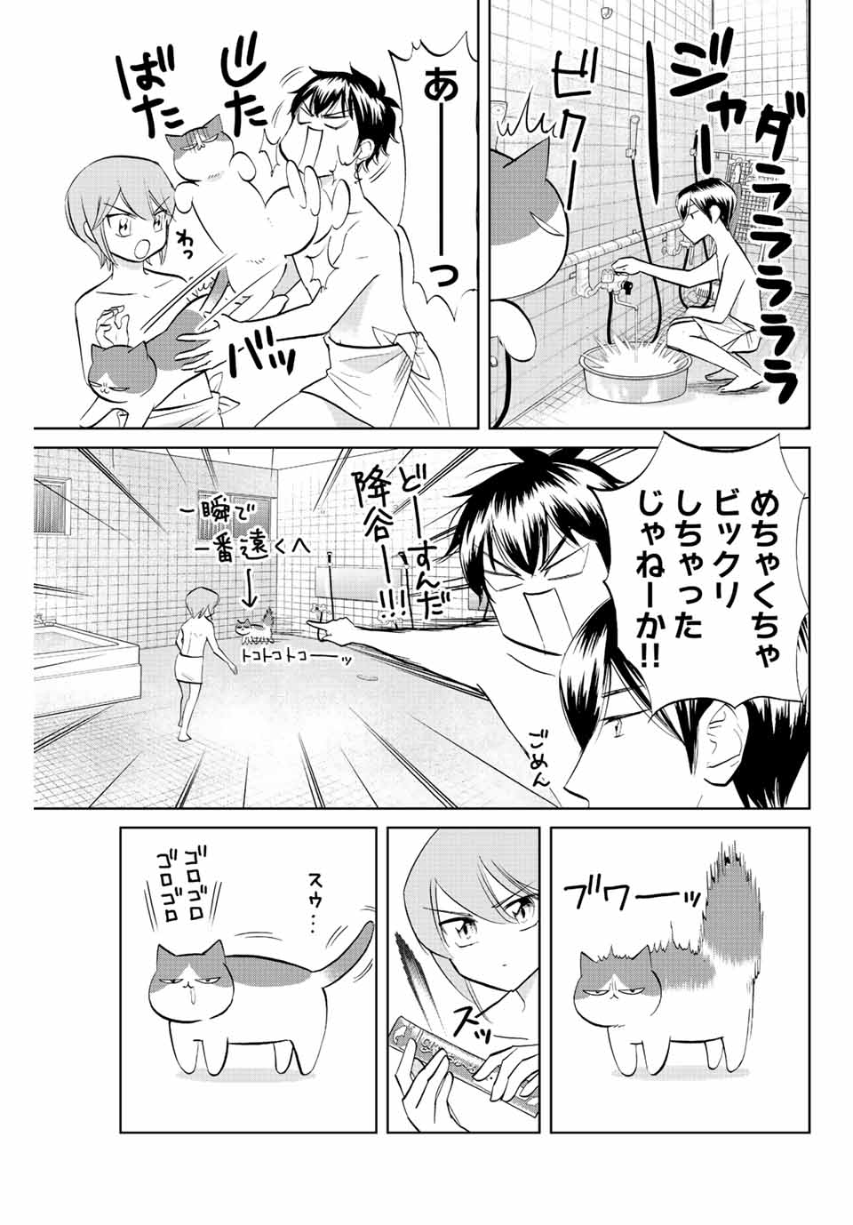 ダイヤのC!!青道高校野球部猫日誌 第6話 - Page 5
