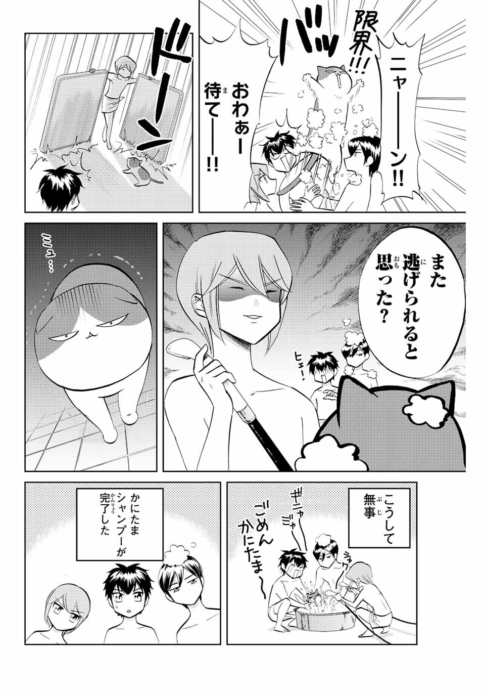 ダイヤのC!!青道高校野球部猫日誌 第6話 - Page 8