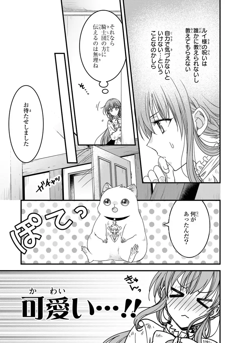 旦那様がちっちゃいモフモフになりました ～私を悪女だと誤解していたのに、すべて義母の嘘だと気づいたようです～ 第2話 - Page 17