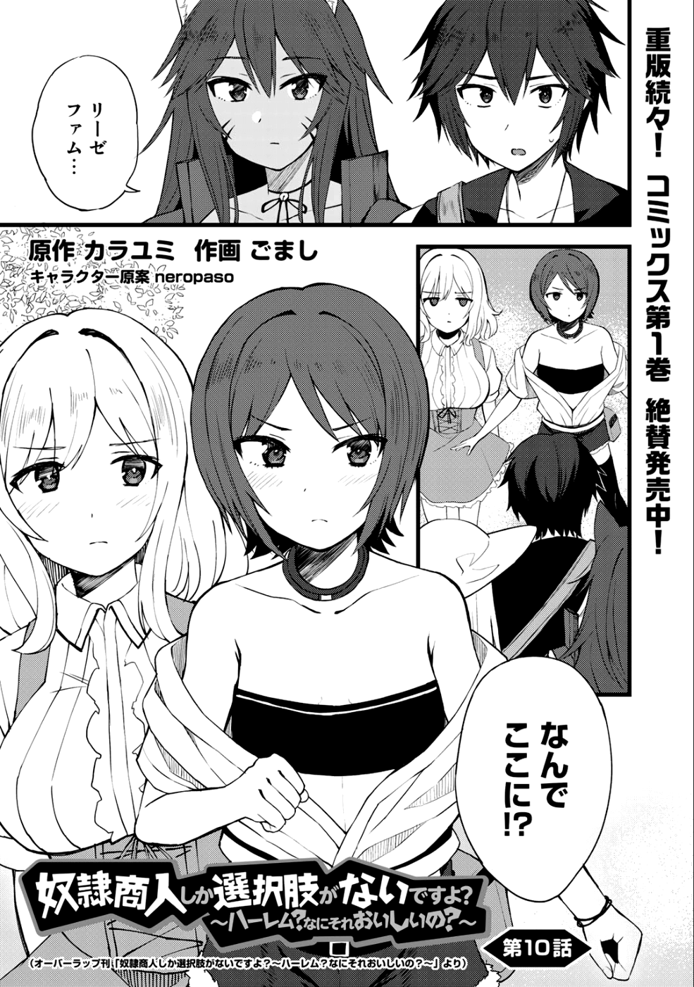 奴隷商人しか選択肢がないですよ?～ハーレム?なにそれおいしいの?～ 第10話 - Page 1